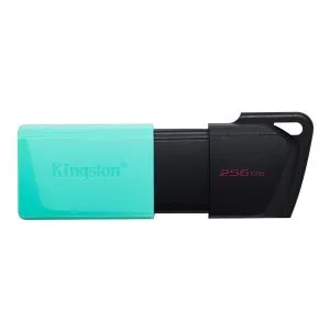 memoria USB 256GB Kingston
