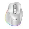 mouse inalámbrico ergonómico RGB
