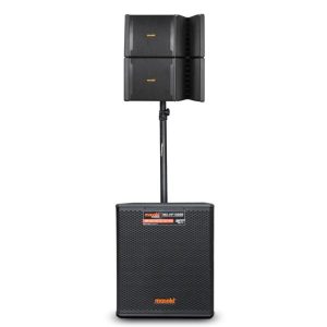 parlante profesional 900w