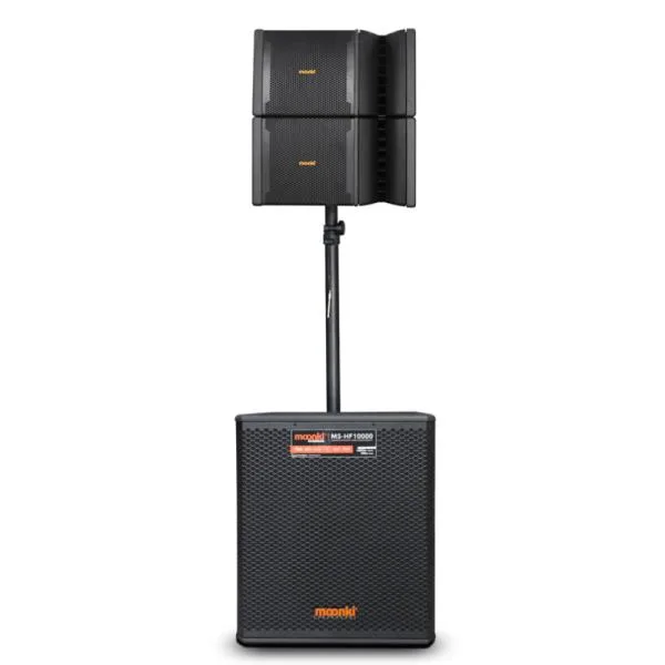 Parlante Profesional MOONKI MS-HF10000 900W RMS