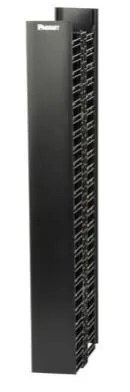 Panduit Organizador Vertical Frontal y Posterior WMPV45E